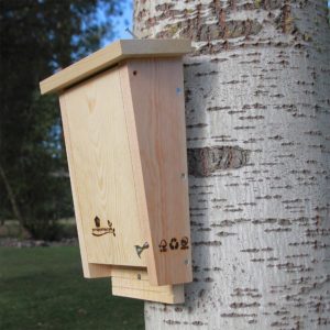 Caja nido CM 10 para murciélagos, detalle colgado con clavo forestal.