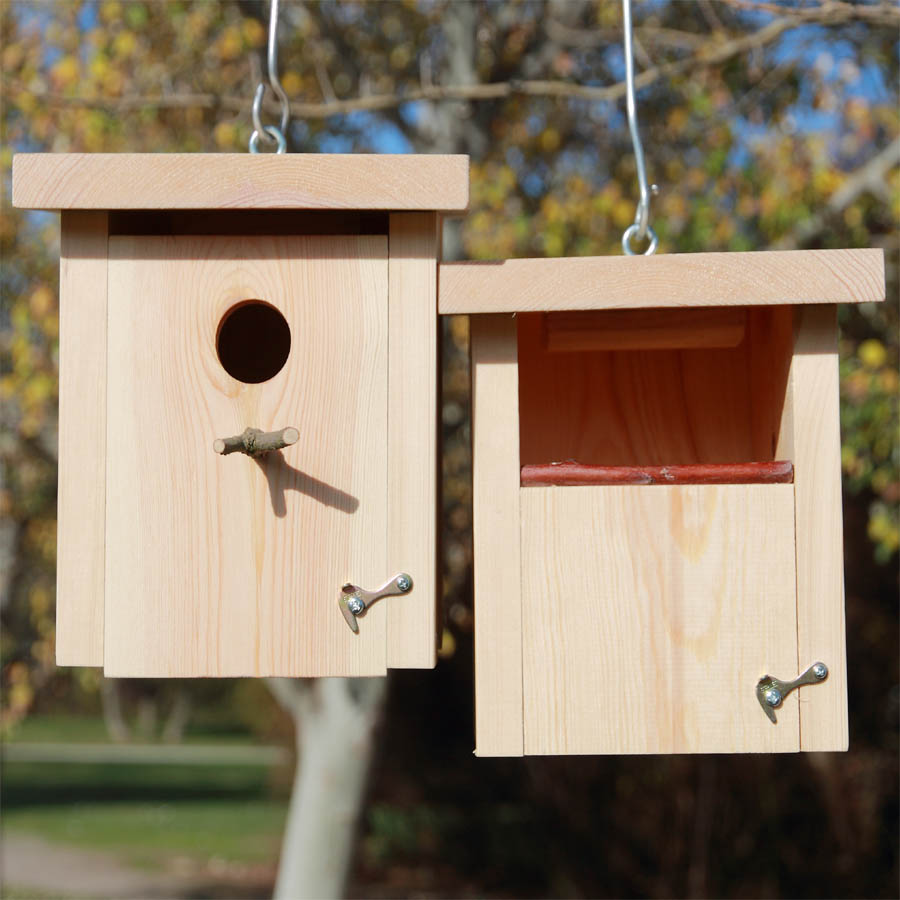 caja nido para pequeñas aves insectívoras caixa niu petites ocells insectívores habia kutxa hegazti intsektoriko txikiak