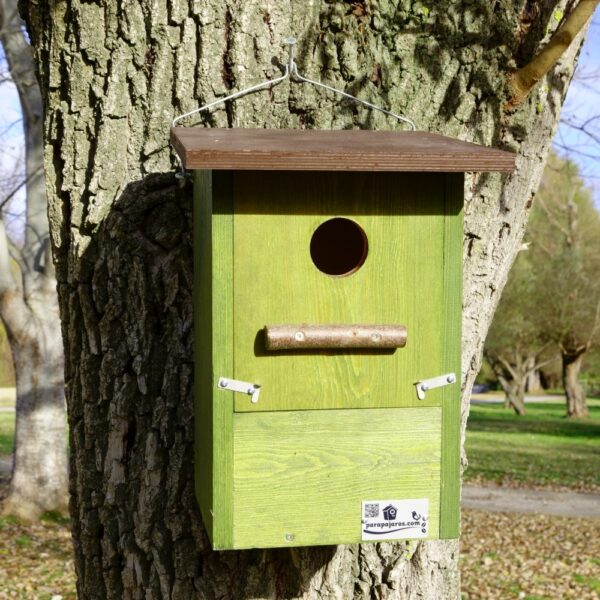 Caja nido mochuelo europeo, Caixa niu mussol, Caixa niño moucho, mozoloa habi kutxa, nest box Little eurasian scops owl