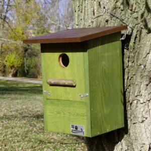 Caja nido mochuelo europeo, Caixa niu mussol, Caixa niño moucho, mozoloa habi kutxa, nest box Little eurasian scops owl