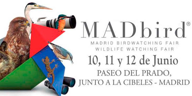Madbird 2016