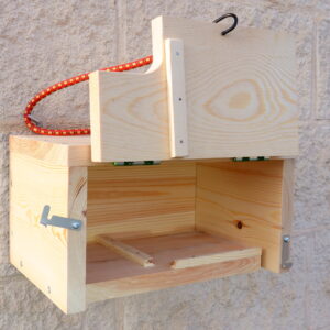 La CP60 es una caja nido para Vencejo común Apus Apus, Vencejo Pálido Apus pallidus y Vencejo cafre Apus caffer.