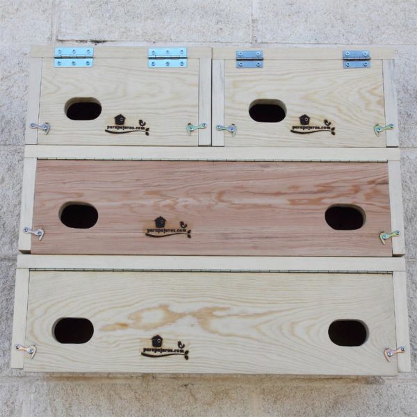 Ejemplo de composición con cuatro cajas nido: dos Cp 60 individuales y dos Cp 62 Duo