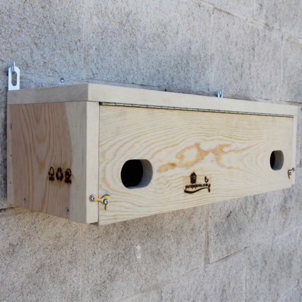 Caja nido para: Vencejo común (Apus apus), Cirrio, Falciot negre, Sorbeltz arrunta, Vencejo pálido (Apus pallidus), Cirrio pálido, Falciot pàl-lid, Sorbeltz arrea, Vencejo cafre (Apus caffer), Cirrio cafre, Falciot cuablanc africà, Sorbeltz kafrea, Vencejo unicolor (Apus unicolor), Falciot unicolor, Falciot unicolor, Sorbeltz kolorebakarduna