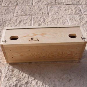 Caja nido para: Vencejo común (Apus apus), Cirrio, Falciot negre, Sorbeltz arrunta, Vencejo pálido (Apus pallidus), Cirrio pálido, Falciot pàl-lid, Sorbeltz arrea, Vencejo cafre (Apus caffer), Cirrio cafre, Falciot cuablanc africà, Sorbeltz kafrea, Vencejo unicolor (Apus unicolor), Falciot unicolor, Falciot unicolor, Sorbeltz kolorebakarduna
