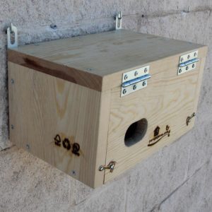 La CP60 es una caja nido para Vencejo común, Apus apus y Vencejo real, Apus melba.