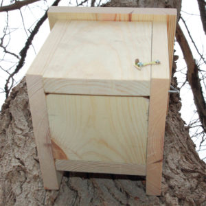Caja nido para lirón con entrada pegada al tronco.