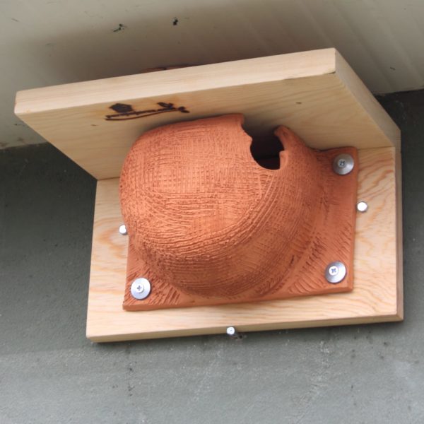 Caja nido Avión común,caixa niu Oreneta cuablanca, kabi kutxa Enara azpizuria, caixa de Andoriña do cu branco, Nest box for House martin