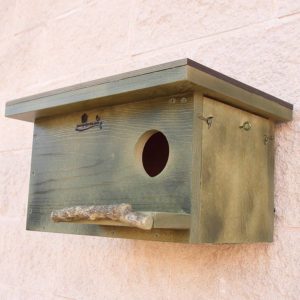 caja nido cernícalo, caixa niu xoriguer, kabi kutxa belatz, caixa de niño lagarteiro, nest box common kestrel
