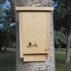 caja-nido-murciélgos-cm10-parapajaros.com