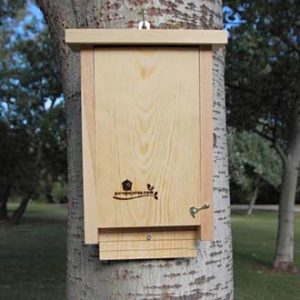 caja-nido-murciélgos-cm10-parapajaros.com