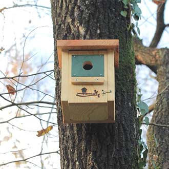 Caja nido aves insectívoras Cp18 clavada con clavos forestales en robledal
