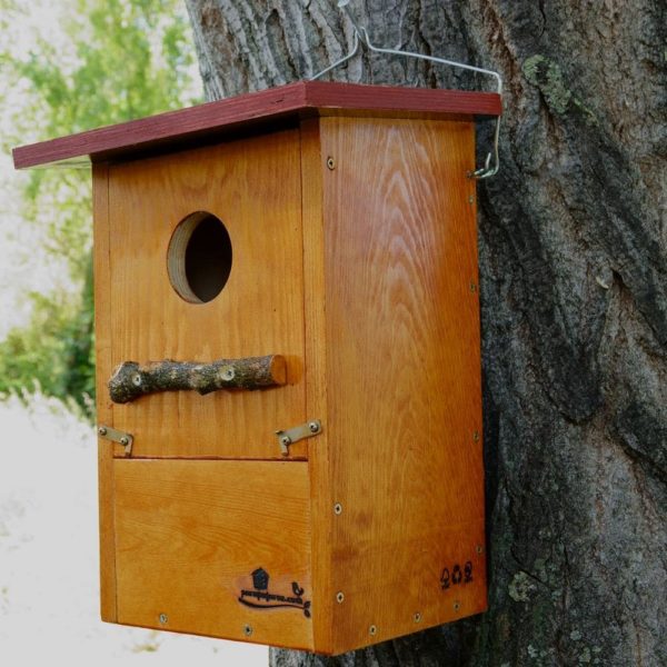 Caja nido para Carraca europea, caixa niño Rolieiro, caixa niu Gaig blau, kabi kutxa Karraka, nest box european roller