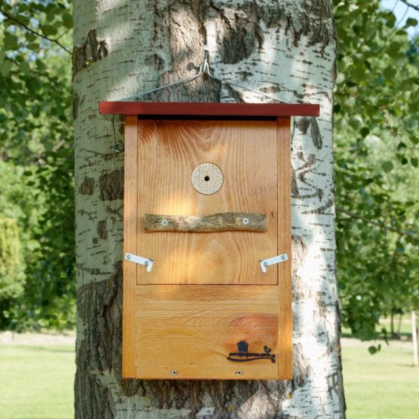 Caja nido para Pito real, caixa niño Peto verde, caixa niu Picot verd, kabi kutxa Okil berdea , nest box European green woodpecker