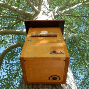 Caja nido para Pico picapinos, caixa niño Peto real, caixa niu Picot garser gros, kabi kutxa Okil handia , nest box Great spotted woodpecker.