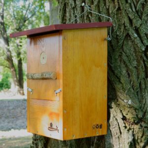Caja nido para Pico picapinos, caixa niño Peto real, caixa niu Picot garser gros, kabi kutxa Okil handia , nest box Great spotted woodpecker.