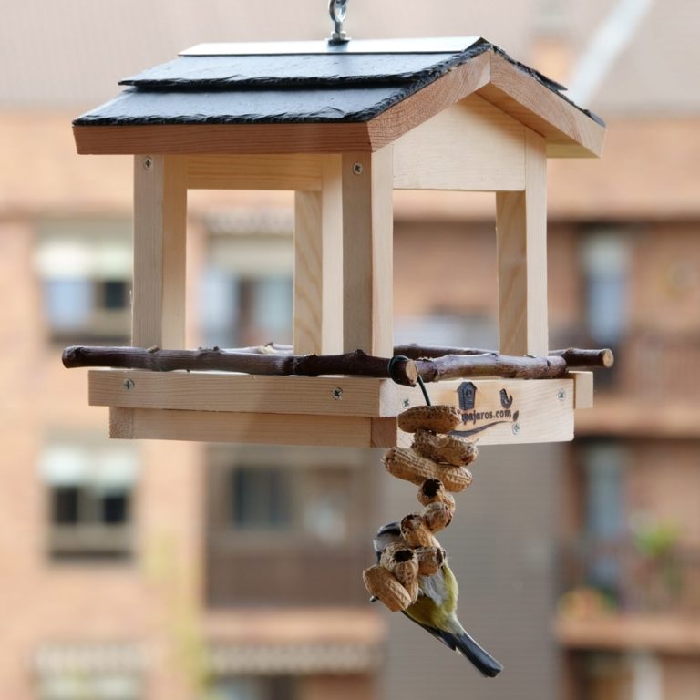 Comedero Para Pájaros Silvestres - Transparente, Antracita, Para Semillas O Bolas De Sebo, Uso En Terraza, Balcón O Jardín