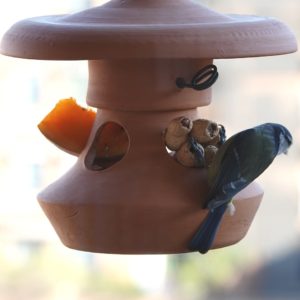 comedero, menjadora, Hegaztientzako jantokia, alimentador de aves, bird feeder