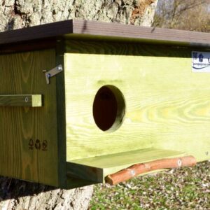 caja nido cernícalo, caixa niu xoriguer, kabi kutxa belatz, caixa de niño lagarteiro