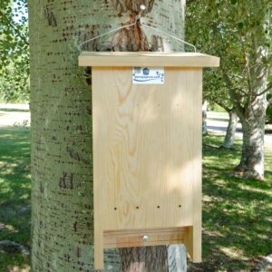 caja nido murciélagos, caixa niu ratpenats, caixa niño morcego, saguzar habia-cm13-F-parapajaros.com