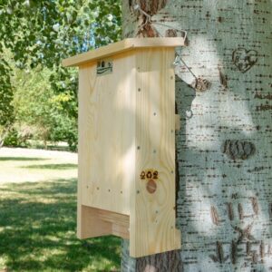caja nido murciélagos, caixa niu ratpenats, caixa niño morcego, saguzar habia-cm13-F-parapajaros.com