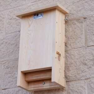 caja nido murciélagos, caixa niu ratpenats, caixa niño morcego, saguzar habia-cm13-F-parapajaros.com