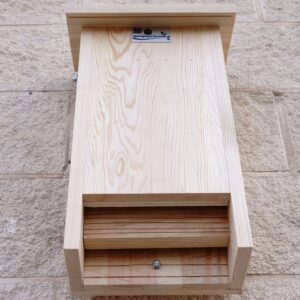 caja nido murciélagos, caixa niu ratpenats, caixa niño morcego, saguzar habia-cm13-F-parapajaros.com