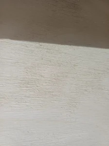 detalle raspado murciélagos